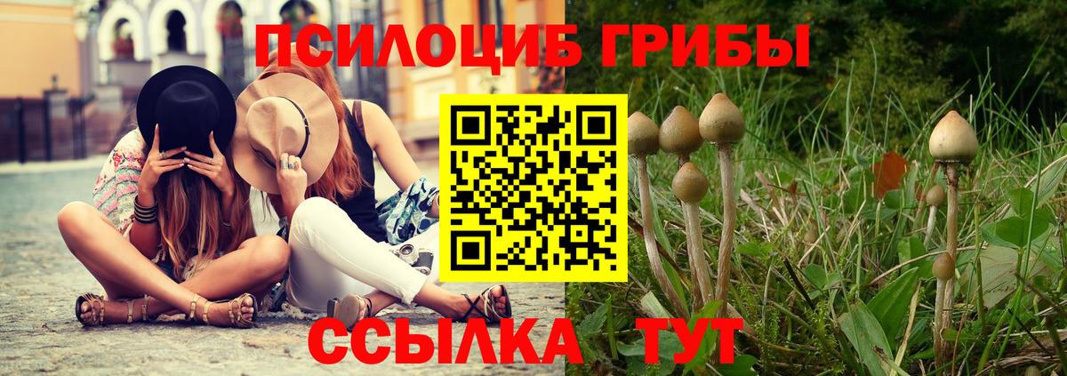 Псилоцибиновые грибы мицелий Можга
