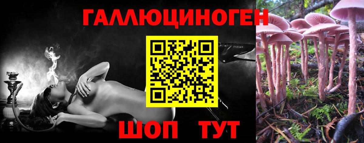 Псилоцибиновые грибы мицелий  Вход с VPN  Можга 